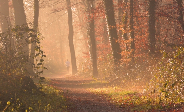 Bieganie w lesie - terapia dla ciała i ducha