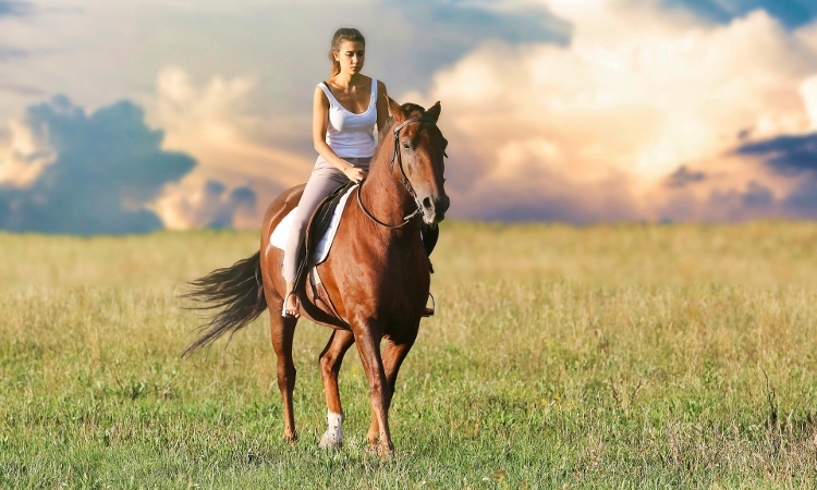 Nauka jazdy konnej. Jak zacząć jeździć konno?